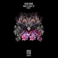 Road To Rave - Ozan Kanik & L.Ap.