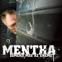 Intro - Mentha