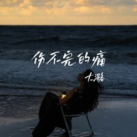 伤不完的痛 - 大潞