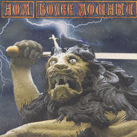 Профессионал - НОМ