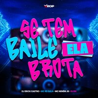 Se Tem Baile Ela Brota - DJ Rx & DJ ERICK CASTRO & MC RD BALA & MC Neném JB