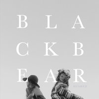 Black Bear - Andrew Belle