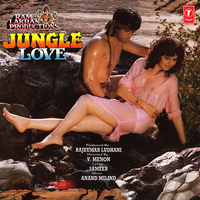 Hum To The Anjaane - Anuradha Paudwal & Anand Milind