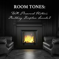 Well Preserved Historic Building Fireplace Sounds, Pt. 5 - Nowak Sommer