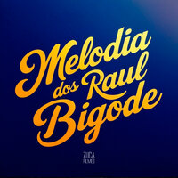 Melodia dos Raul Bigode - DJ MENOR DA ZN & DJ AUGUSTO ZS & MC Prr Felipinho