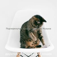 Звуки (Котята) - даунтемпо Музыка для кошек