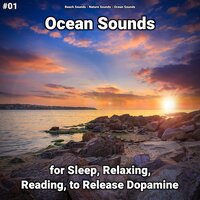 Ocean Sounds Pt. 20 - Beach Sounds & Nature Sounds & Ocean Sounds