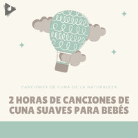 La pequeña araña Por la noche - Canciones de Cuna de la Naturaleza & Canciones Infantiles En Español & Canciones Infantiles