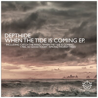 When the Tide Is Coming - Depthide