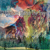 Поход по природе - Pro Sounds of Nature