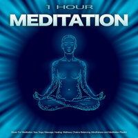 Soft Meditation Music - Meditation Playlist & 1 Hour Meditation & Music for Meditation