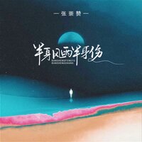 半身风雨半身伤 - 张崇赞