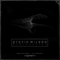 In Control - Stevie Wilson