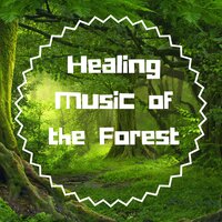 Meditation - Healing Music Spirit
