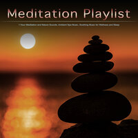 Soothing Music for Wellness and Sleep - Meditation Music Playlist & Meditation Music Collective & Meditation Bliss