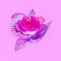 海的故事 - 海洋Bo