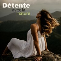 Forêt tropicale - Oasis des Bruits Naturels