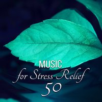 Chill Therapy Music - Sound of Nature Library
