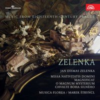 Missa Nativitatis Domini in D Major, ZWV 8: X. Et resurrexit (Credo) - Marek Štryncl & Musica Florea & Ян Дисмас Зеленка