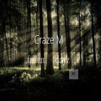 Fallen Dayz - Craze M