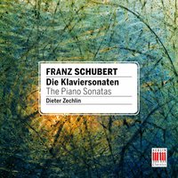 Piano Sonata No. 19 in C Minor, D. 958: I. Allegro - Dieter Zechlin & Франц Шуберт