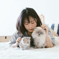 Fireside Sessions - Jazz Music Therapy for Cats & Music for Cats Project & Pet Care Club