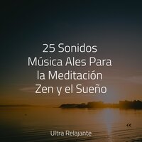 Flores Bailando - Cascada de Lluvia & Cancion de Cuna & Dormir Mucho