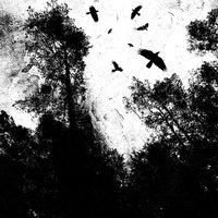 A Reflection in Dust - Autumn's Dawn