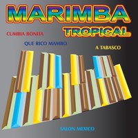 La Zandunga - Marimba Chiapas