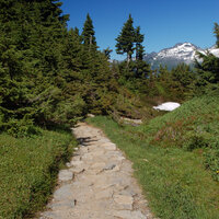 Walking in Your Footsteps - Denise Pyles