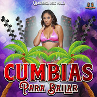 Mi Camisa Rayada - Cumbias Para Bailar & Grupo Celeste