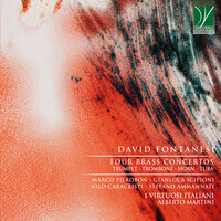 Concerto for Horn, Strings and Percussion in F Major: II. Adagio - I Virtuosi Italiani & Alberto Martini & Nilo Caracristi