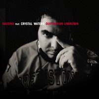 Destination Unknown - Crystal Waters & Gaudino
