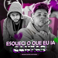 Esqueci o Que Eu Ia Cantar - Wilson Castro & MC POGBA
