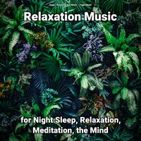 Fantastic Yoga Music for Serene Sleep - Relaxing Spa Music & Yoga Music & Yoga