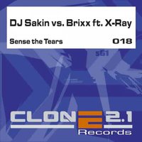 Sense the Tears - DJ Sakin & Ray & x