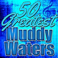 She Moves Me - Muddy Waters