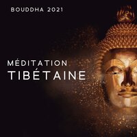 Chemin de la vérité - Buddhist Méditation Académie