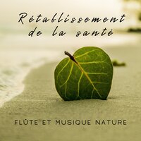 Marche de récupération en forêt - Musique Douce Academy