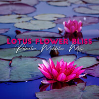 Reach Your Goals - Serenity Music Relaxation & Lotus Flower Academy