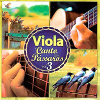 Menino da Porteira - Viola e o Canto dos Pássaros