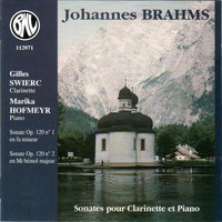 Sonate pour clarinette et piano in E-Flat Major, Op. 120 No. 2: I. Allegro amabile - Gilles Swierc & Marika Hofmeyr & Иоганнес Брамс