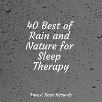 Creek, Waterflow, Stream - Tranquil Music Sounds of Nature & Internal Yoga & Relaxing Nature Sounds Collection