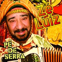 Que Nem Jiló - Ze Luiz