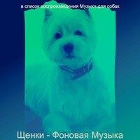 Созерцая (Милые Собаки) - Музыка для собак