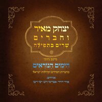 על ישראל אמונתו - יצחק מאיר