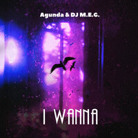 I Wanna - Agunda & DJ M.E.G.