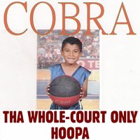 Poetry - Cobra