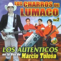 Mix Lumaco - Los Charros De Lumaco