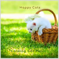 Happy Cats -3 - Calming Cat Music